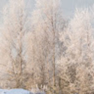 Meet your Posher, Riley